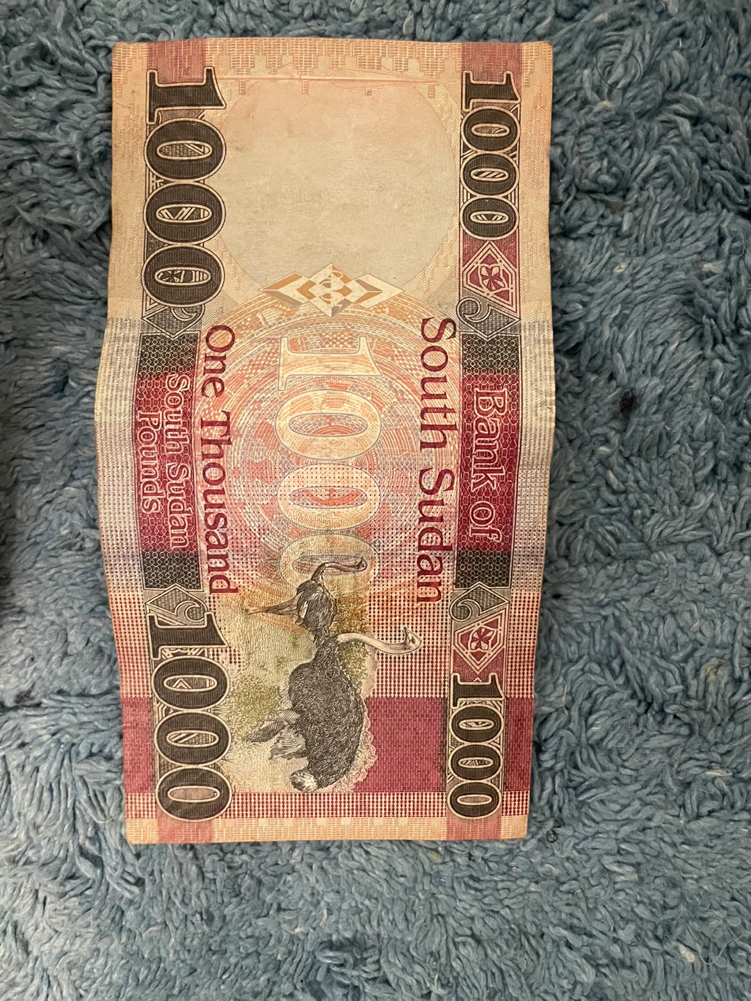 South Sudan 1000 Pounds Banknote