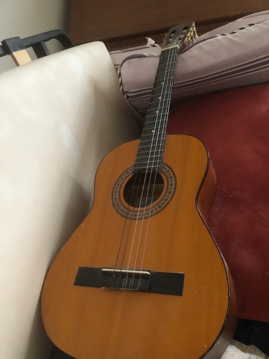 Braun Classical Guitar Model C-10