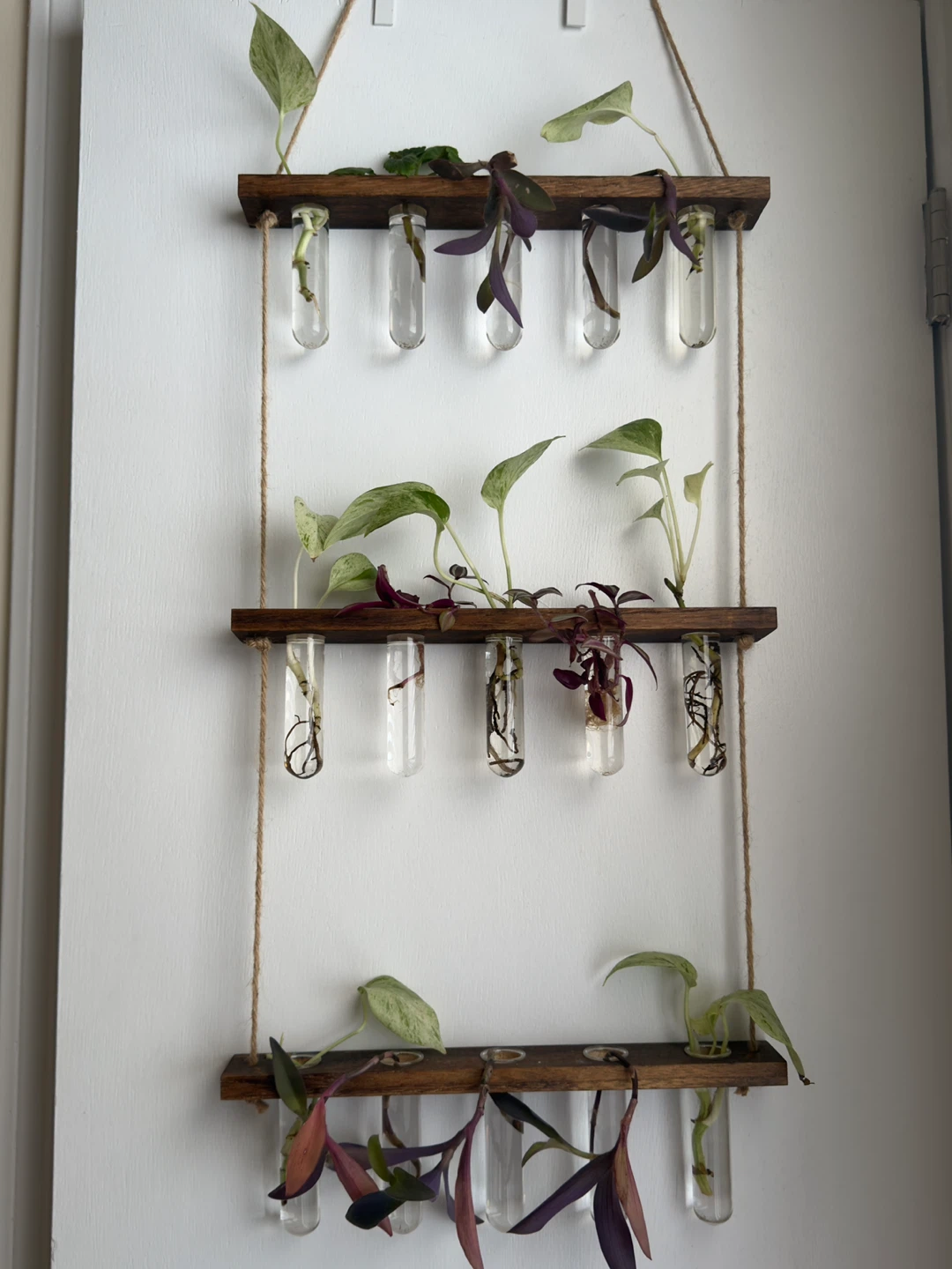 Wooden Plant Propagation Station