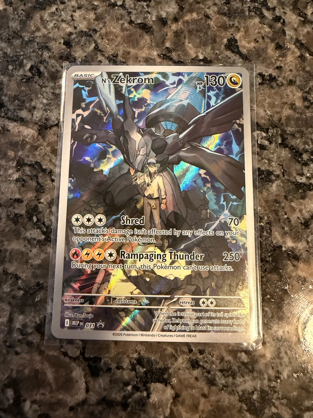 N's Zekrom Holofoil Pokemon Card