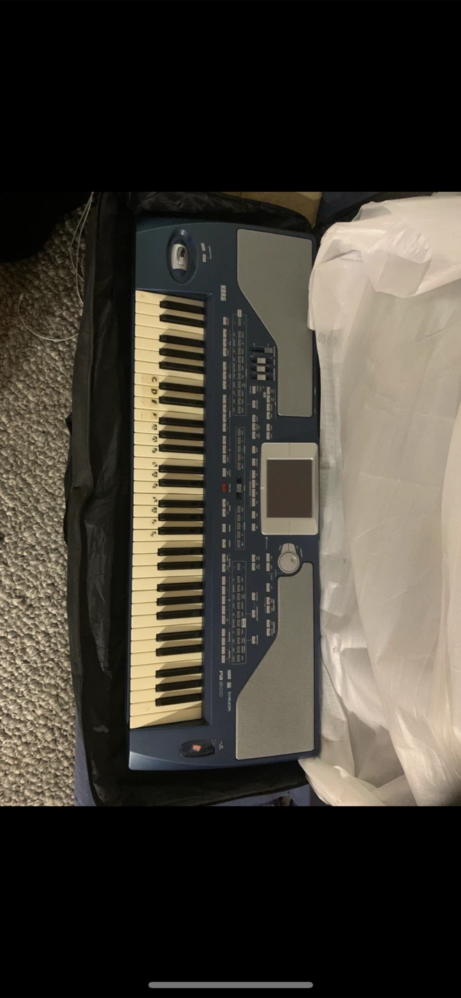 Korg PA800 Professional Arranger Keyboard - photo 5