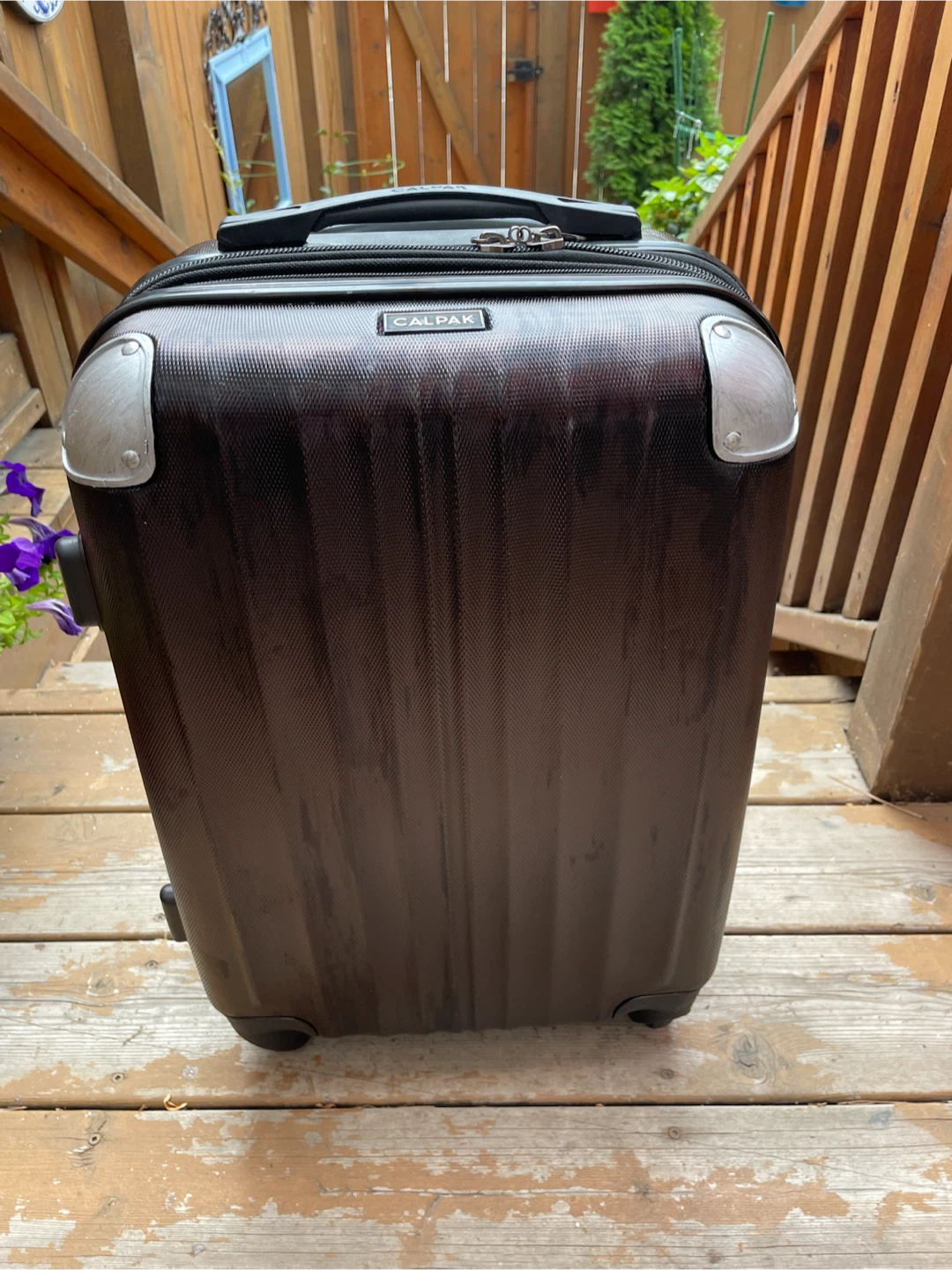Calpak Luggage Carry-On Suitcase