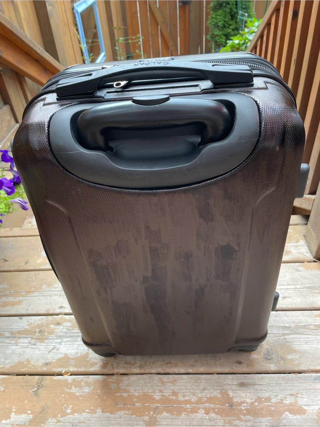 Calpak Luggage Carry-On Suitcase - photo 2