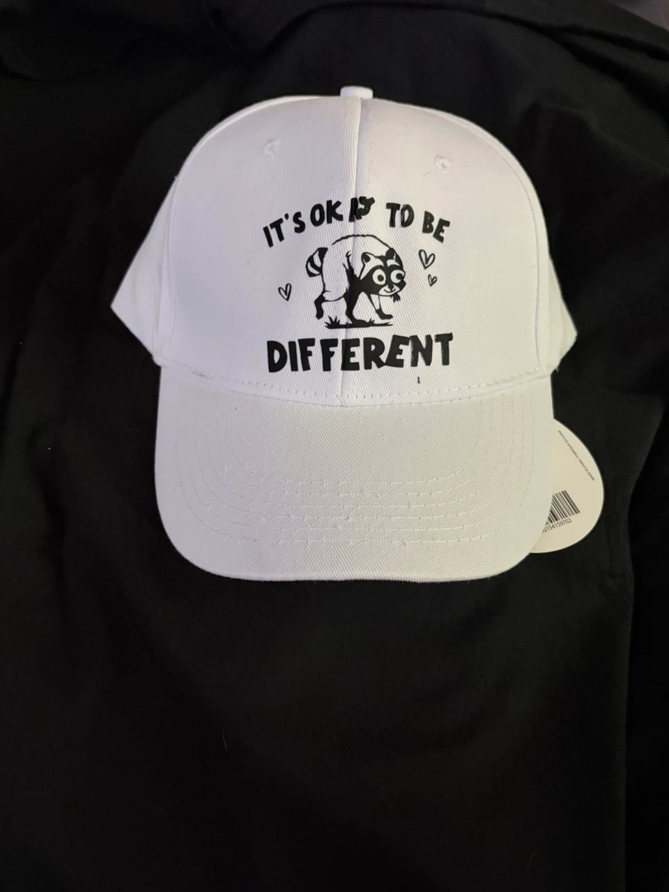 Viral raccoon Jimothy baseball hat!