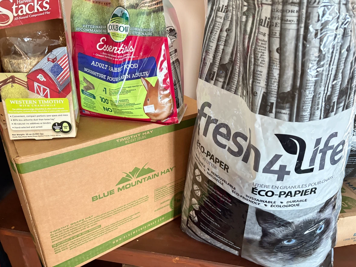 Bunny supplies