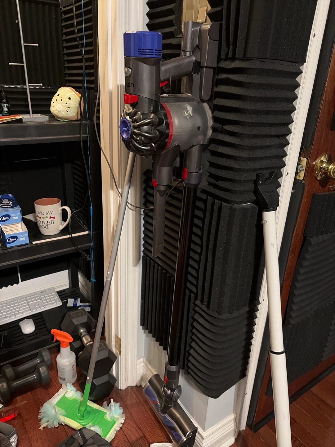 Dyson v8 animal