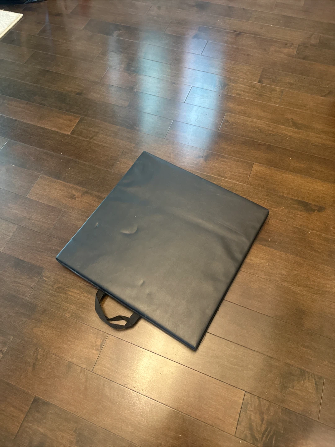 MD Buddy Exercise Mat - photo 2