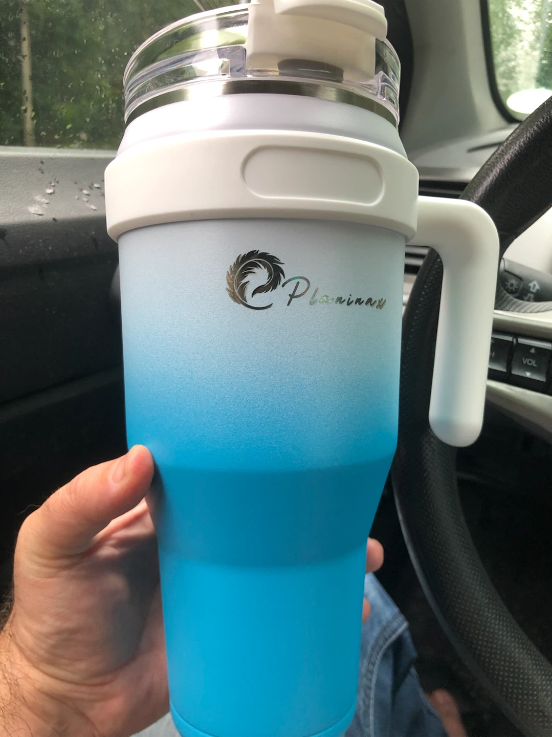 Planinay Tumbler with Straw and Brush