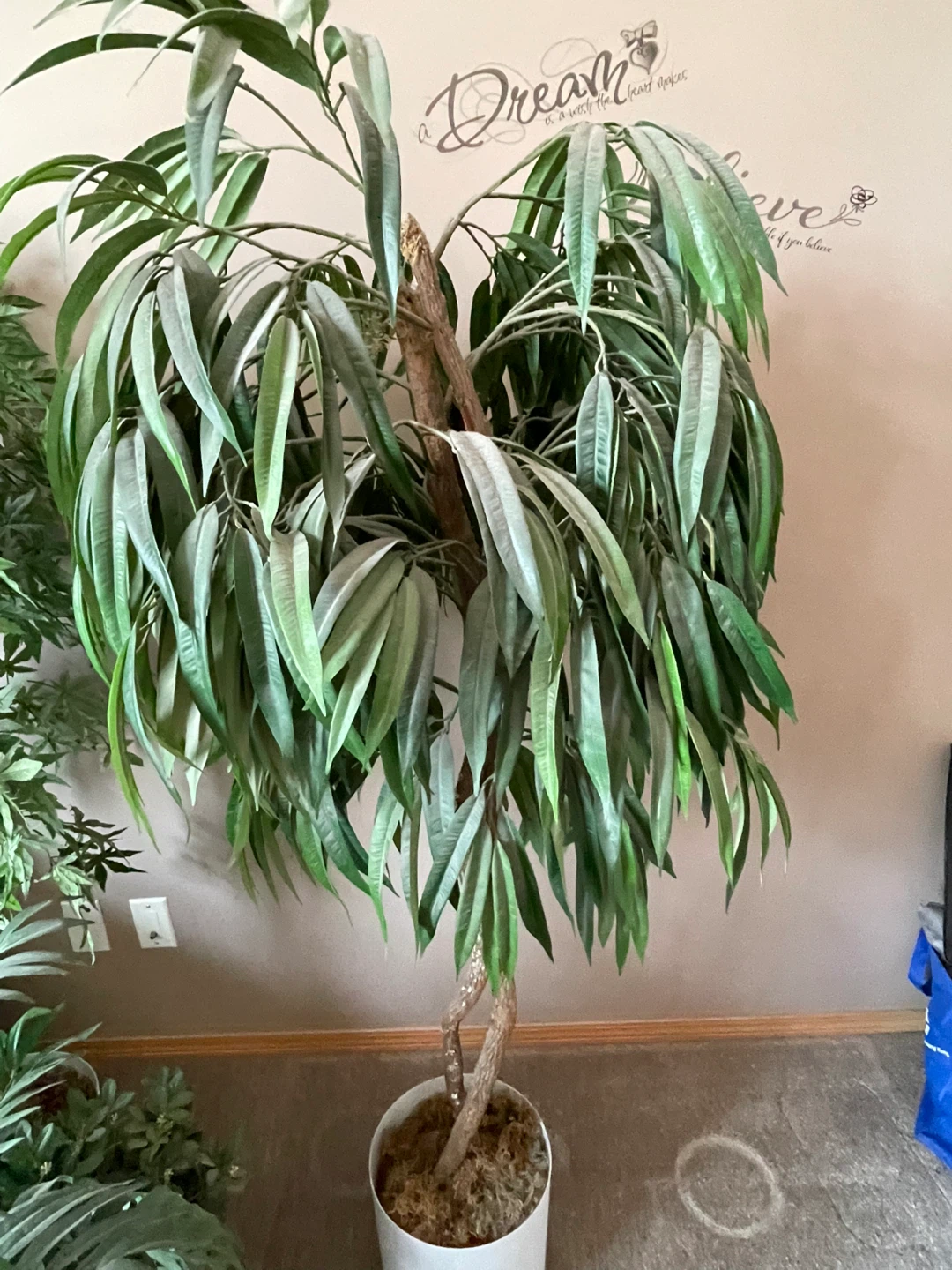 Large Ficus Tree Artificial Plant