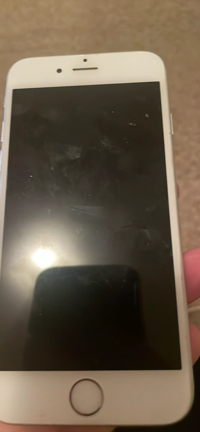 Apple iPhone 6 - photo 2