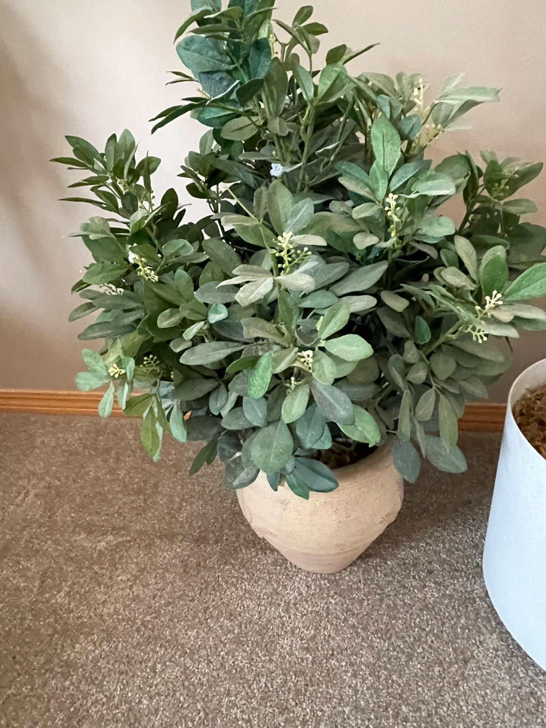 Artificial Plant in Terracotta Pot