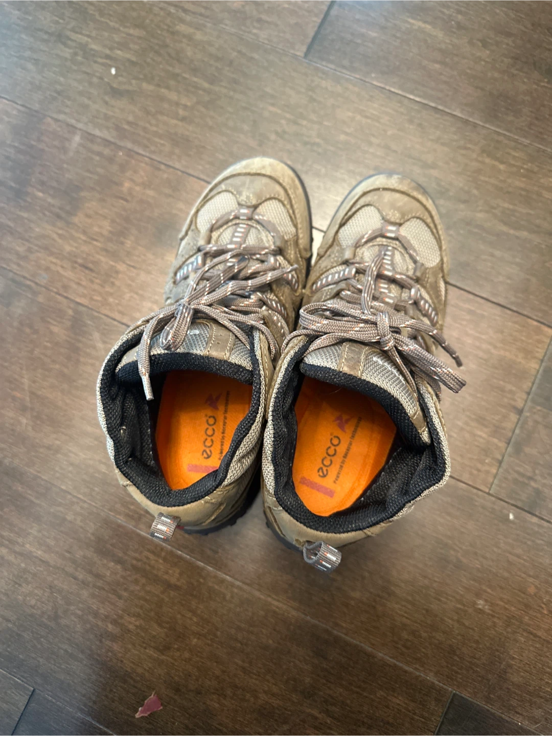 ECCO Hiking Boots