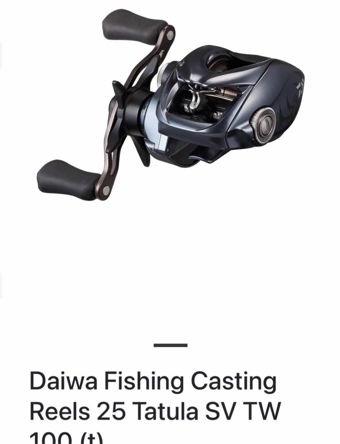 Daiwa 25 Tatula SV TW 100 Fishing Casting Reel