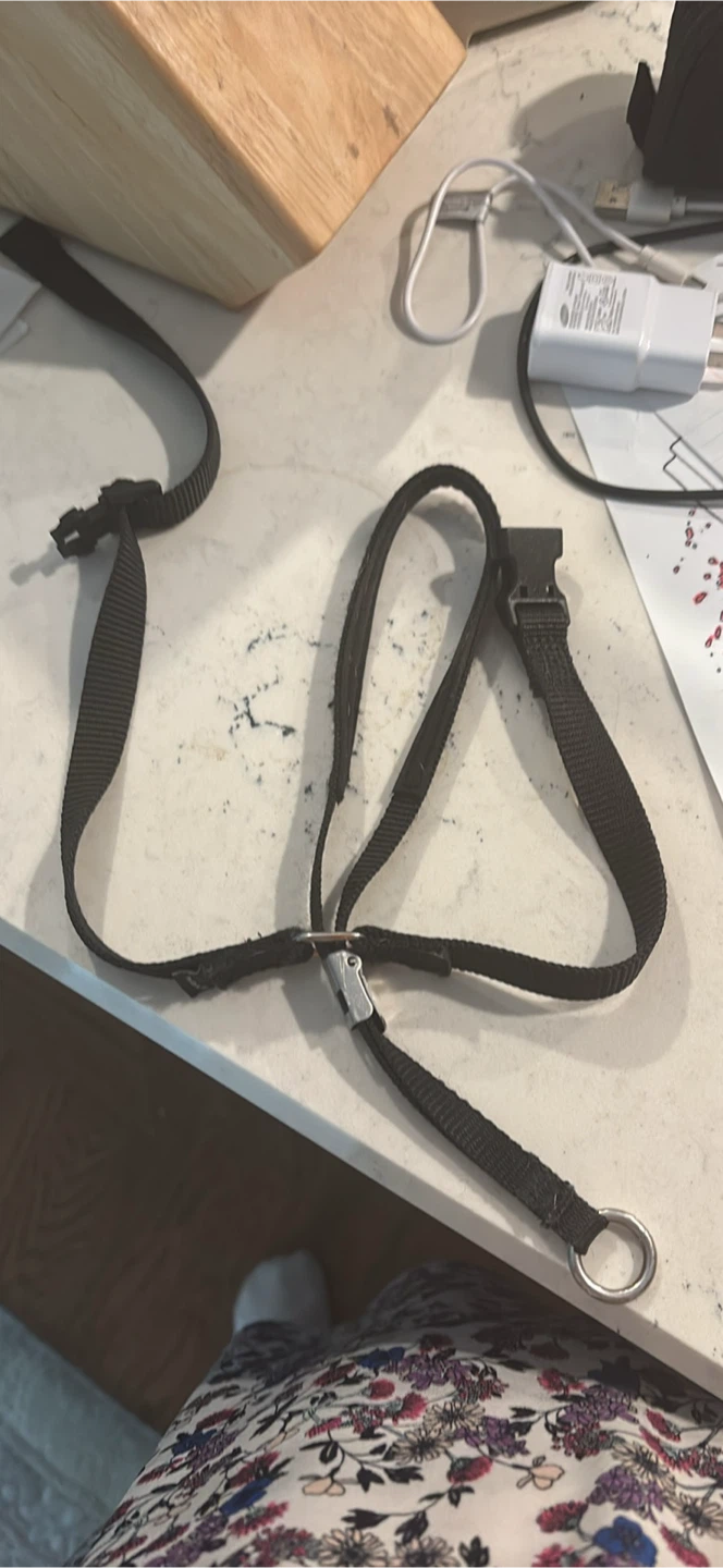 Easy Walk Dog Harness - photo 2