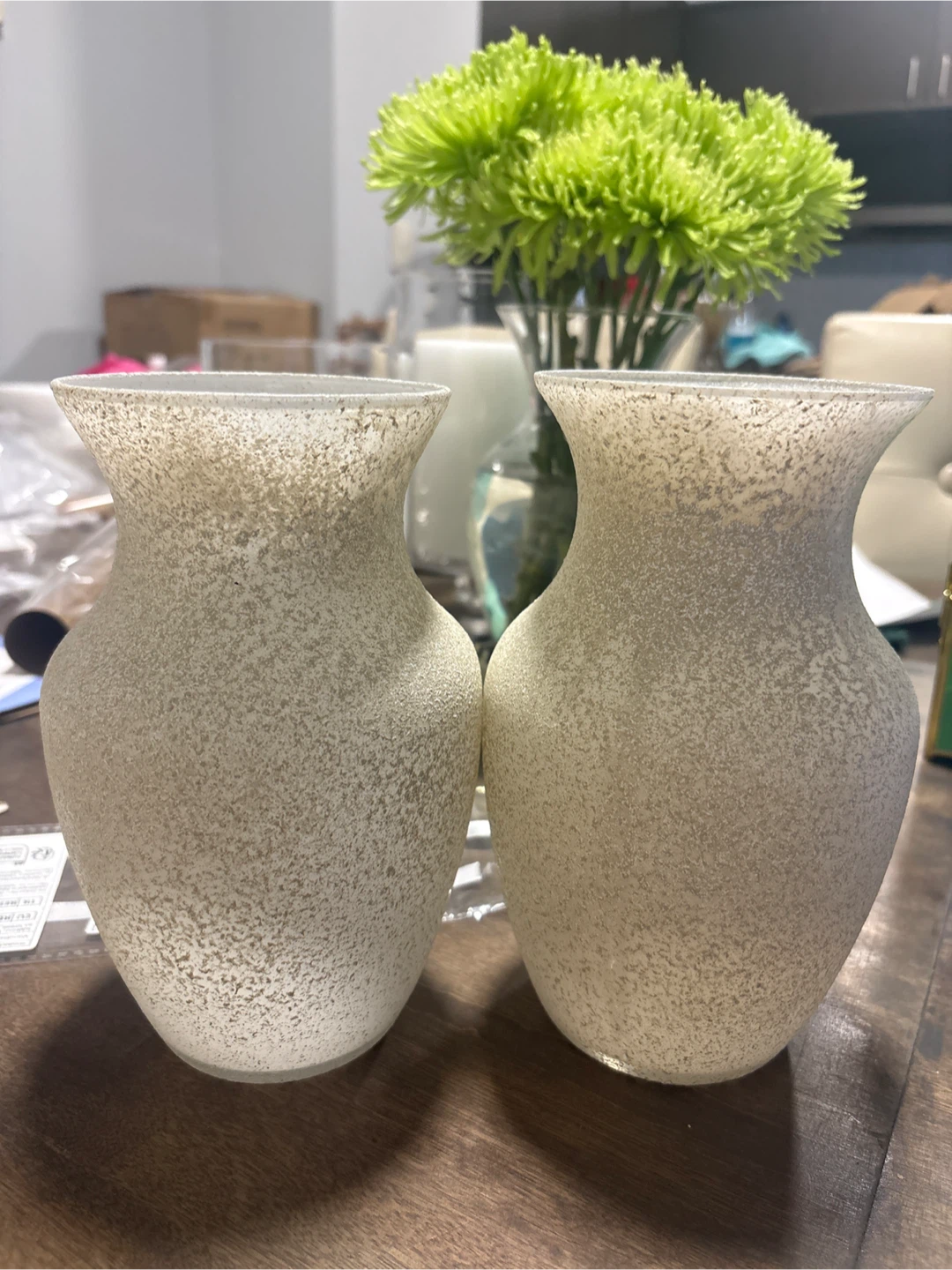 Set of 2 Frosted Glass Vases
