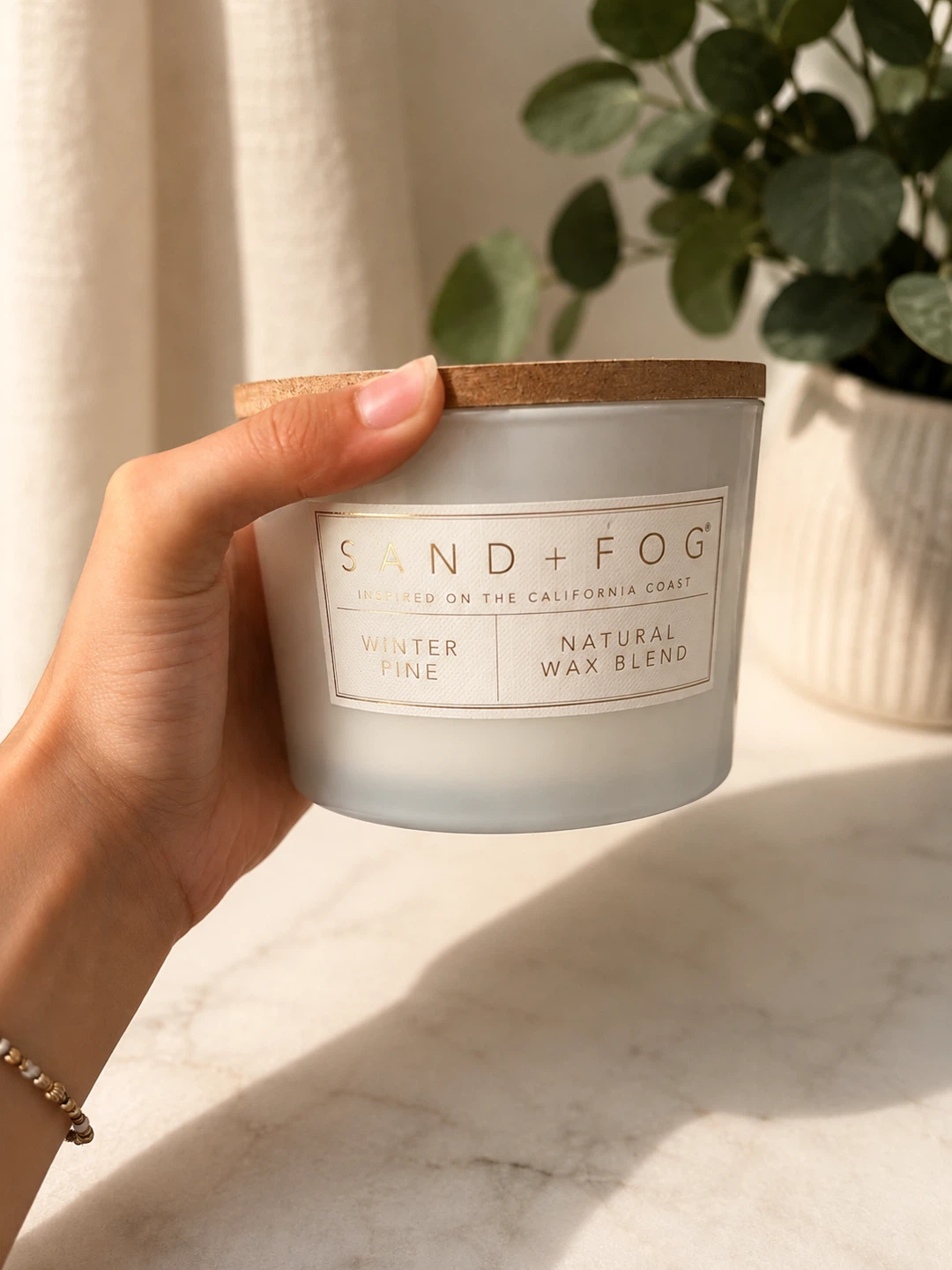 Sand + Fog Winter Pine Candle 12 oz