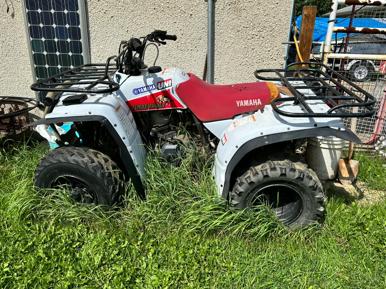 Yamaha Timberwolf ATV - photo 2