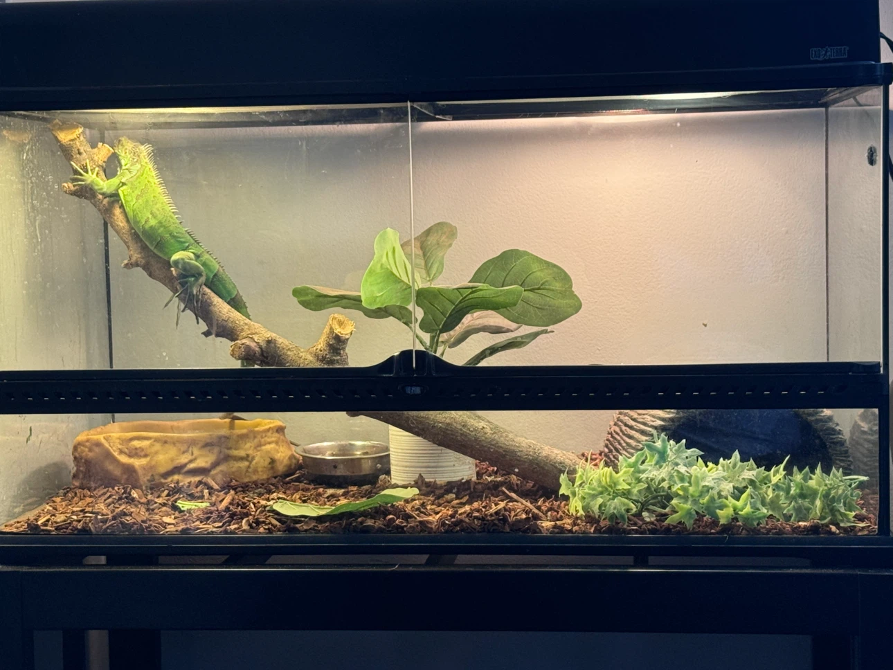 Exo Terra Reptile Terrarium Tank