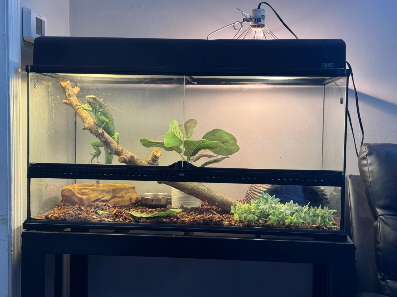 Exo Terra Reptile Terrarium Tank - photo 2