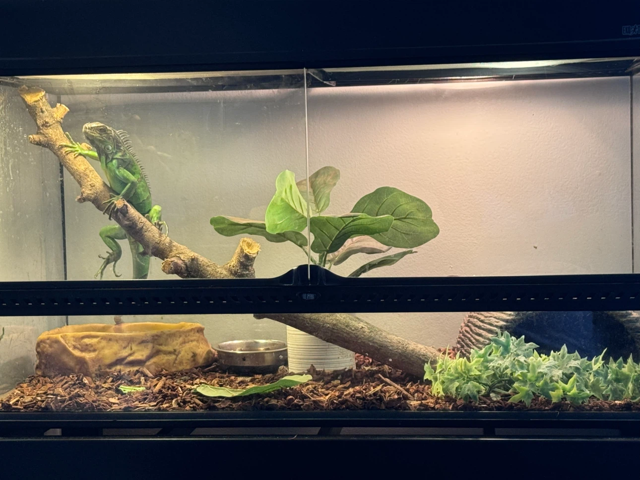 Exo Terra Reptile Terrarium Tank - photo 3