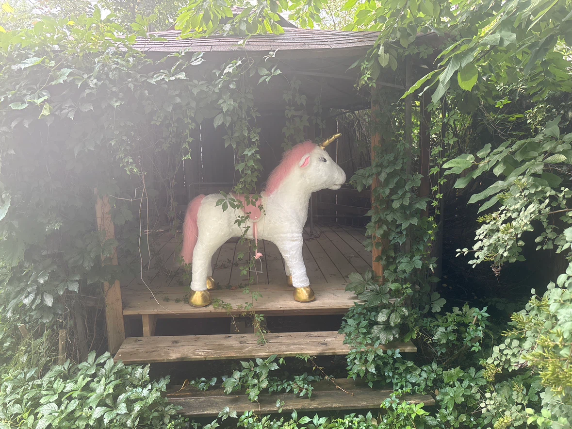 Big Sit-on Unicorn/Horse/Pony (With Sound) - photo 2