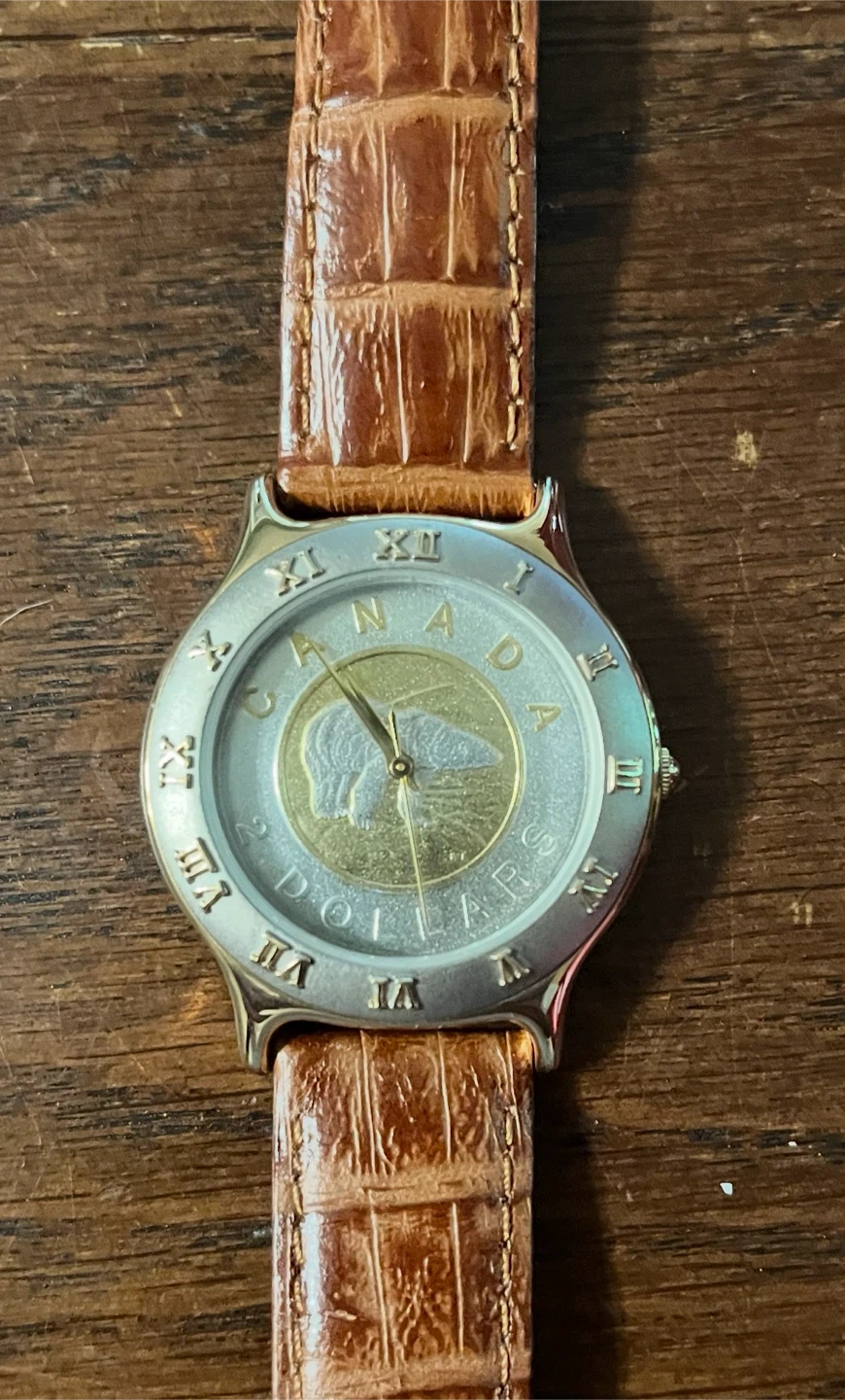 Canadian Toonie Watch