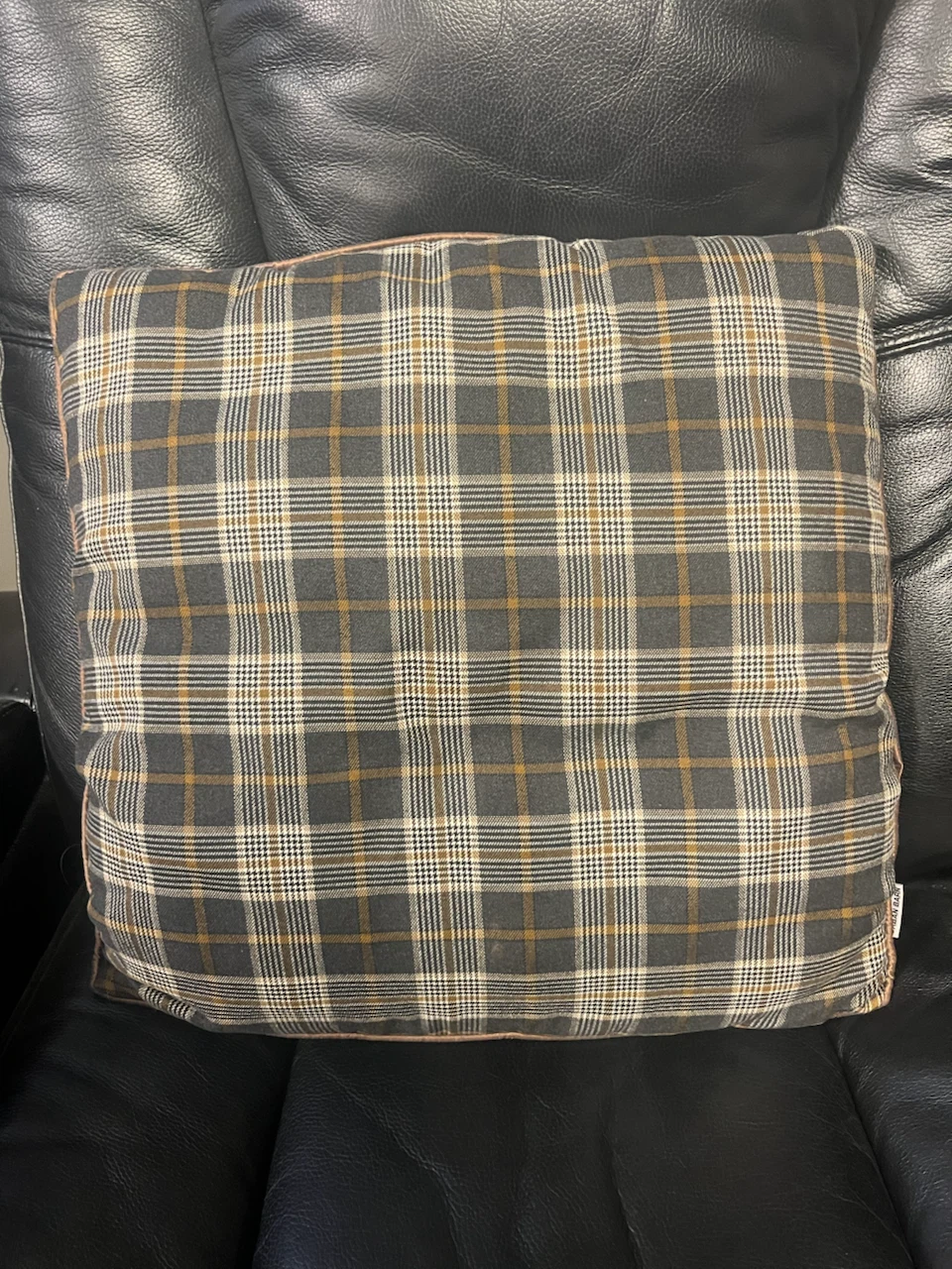 Urban Barn Plaid Throw Pillow