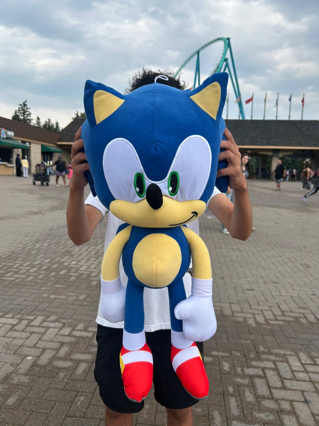 Sonic the Hedgehog Plush Toy