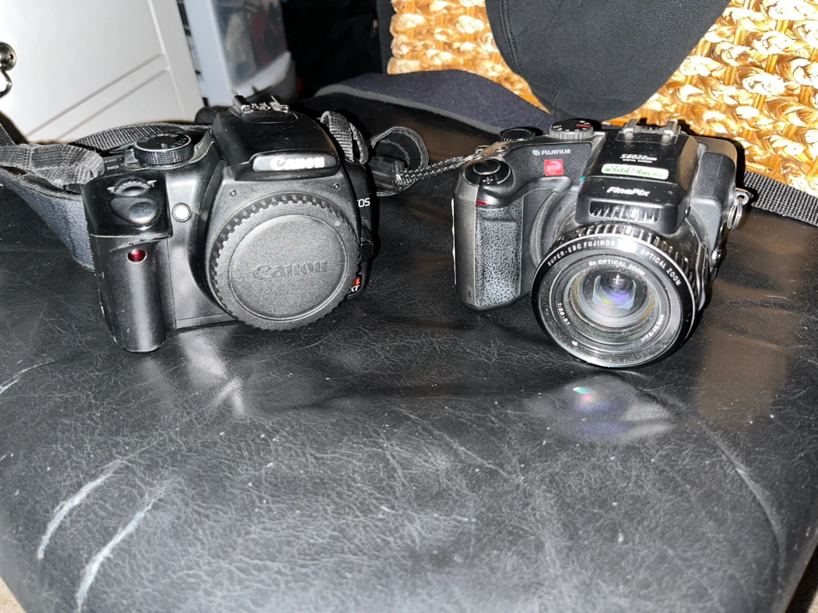 Panasonic loomix and canon rebel eos xt