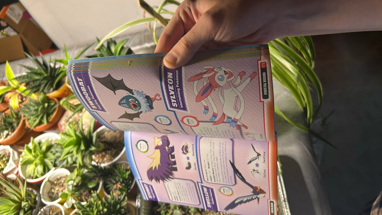 Pokemon Kalos Region Stats and Facts Book - photo 2