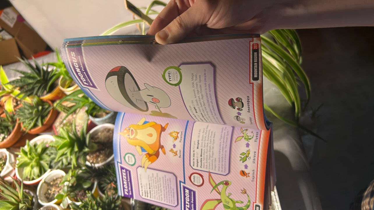 Pokemon Kalos Region Stats and Facts Book - photo 4