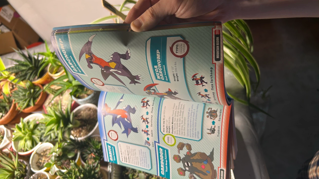 Pokemon Kalos Region Stats and Facts Book - photo 5