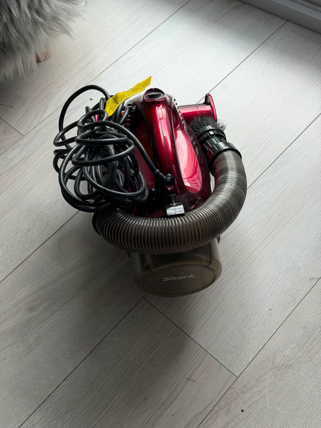 Shark Vacuum Cleaner - photo 2