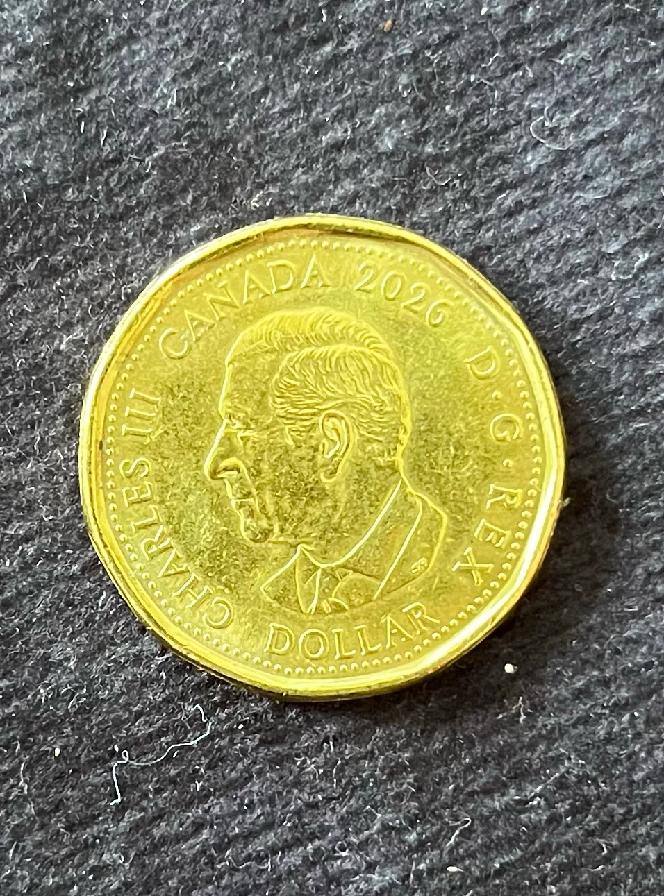 Canada 2026 FIFA World Cup Dollar Coin - photo 4