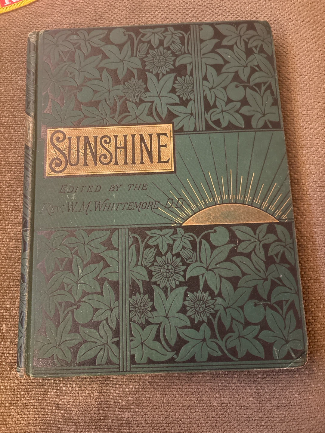 Sunshine For The Home, The School, And The World 1885 Magazine