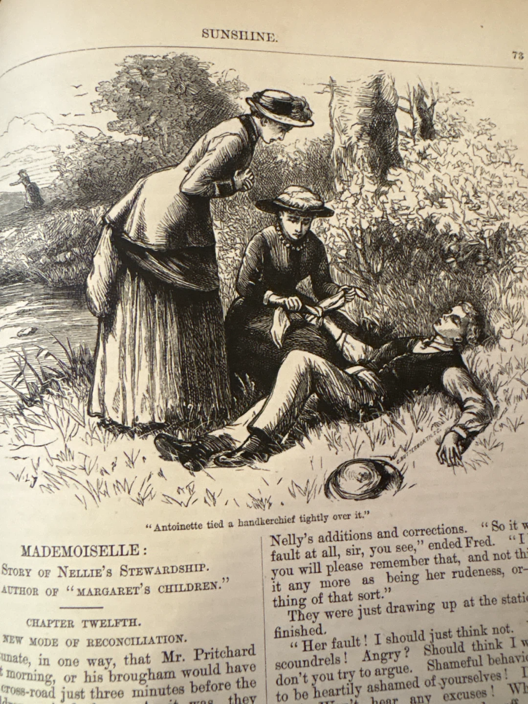 Sunshine For The Home, The School, And The World 1885 Magazine - photo 4