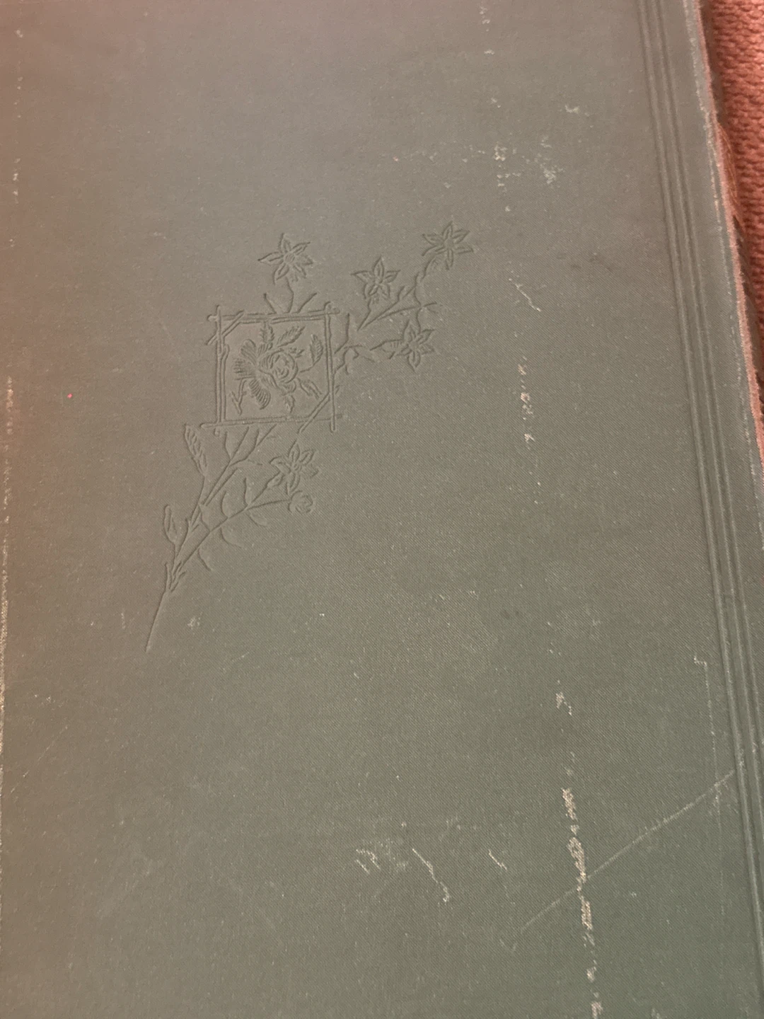 Sunshine For The Home, The School, And The World 1885 Magazine - photo 5
