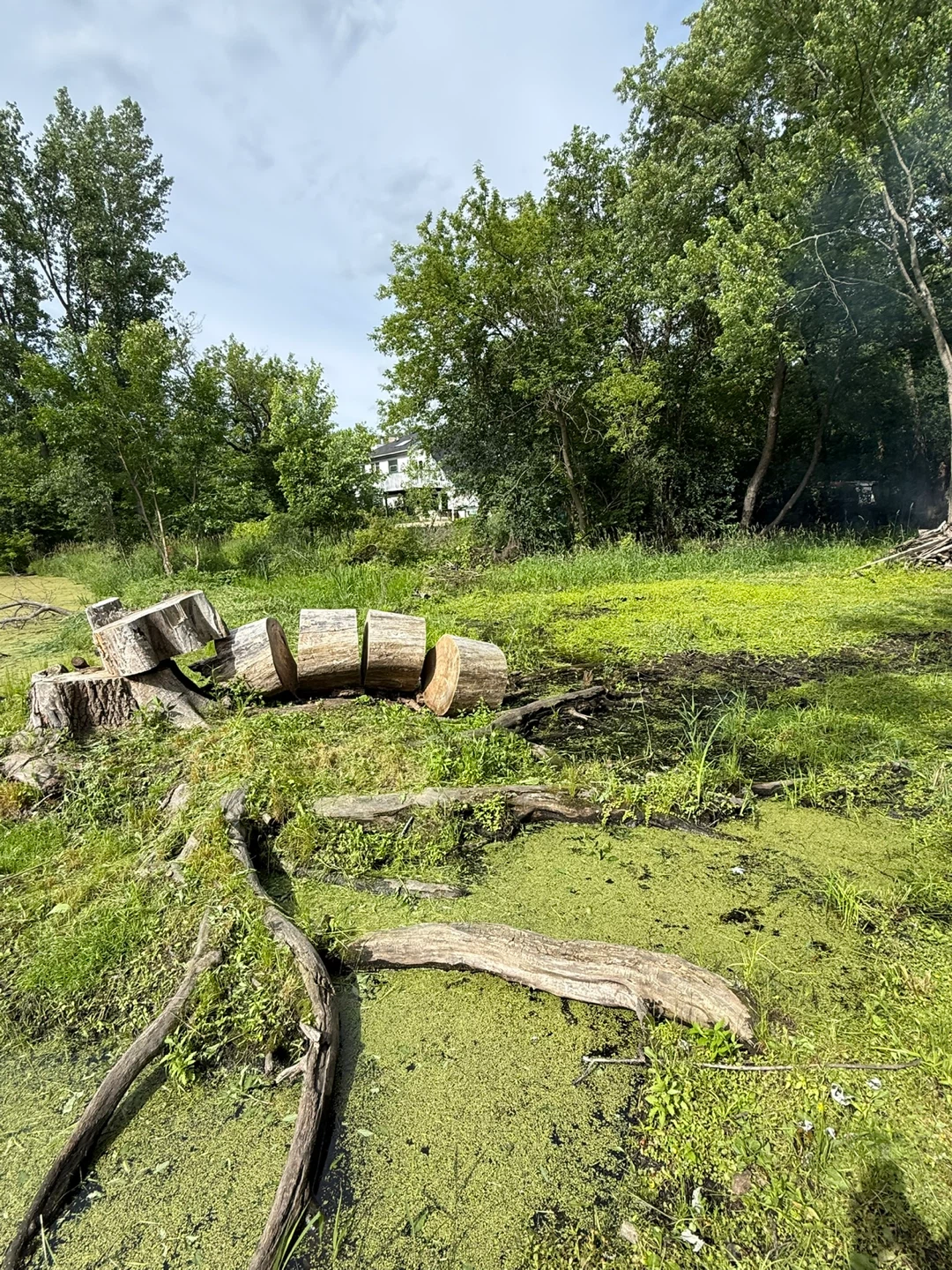 Logs and reclaimed wood fire wood - photo 4