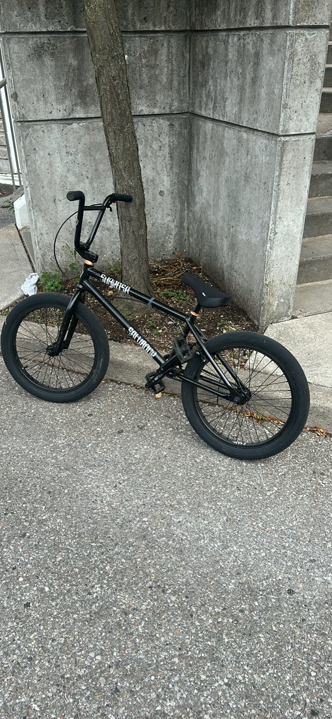 Sabrosa Salvador bmx