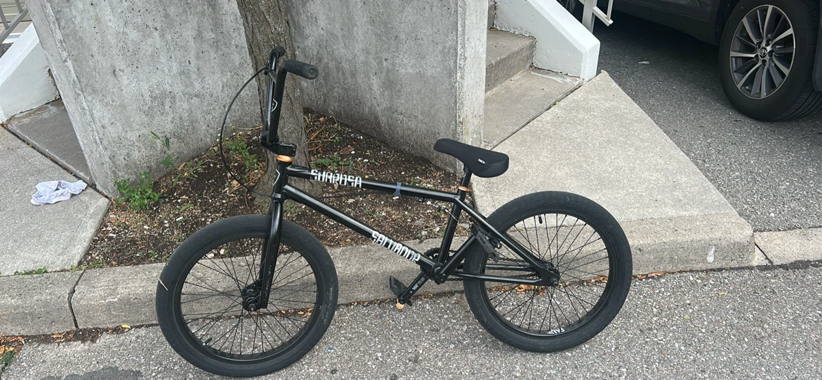 Sabrosa Salvador bmx - photo 2