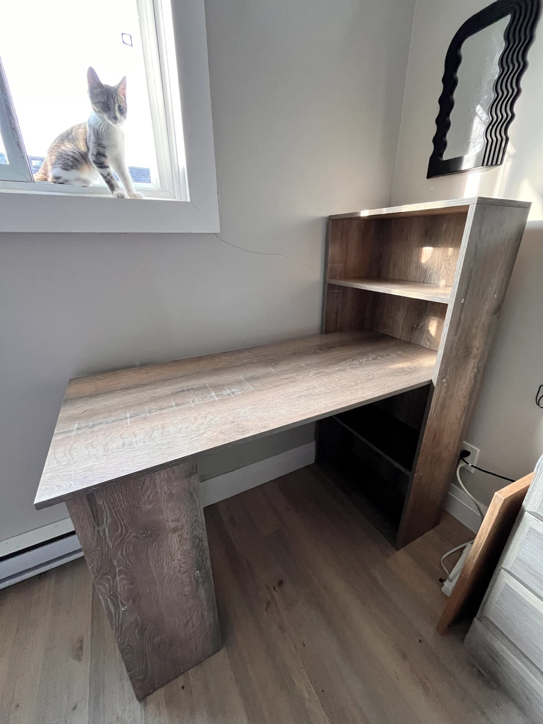 HOMCOM modern computer desk with storage shelves