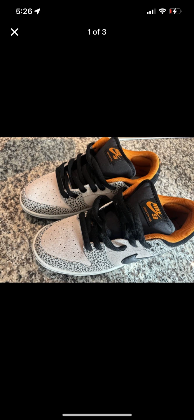 Nike SB Dunk Low Pro Shoes