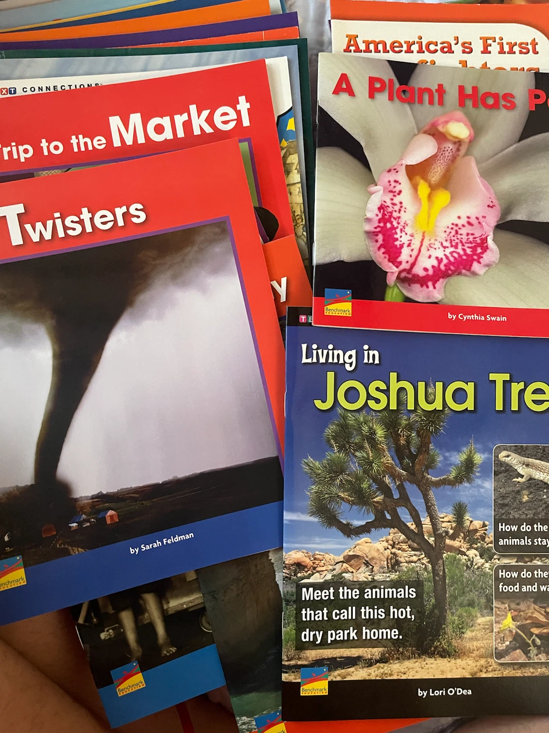 Benchmark Education Children's Books
