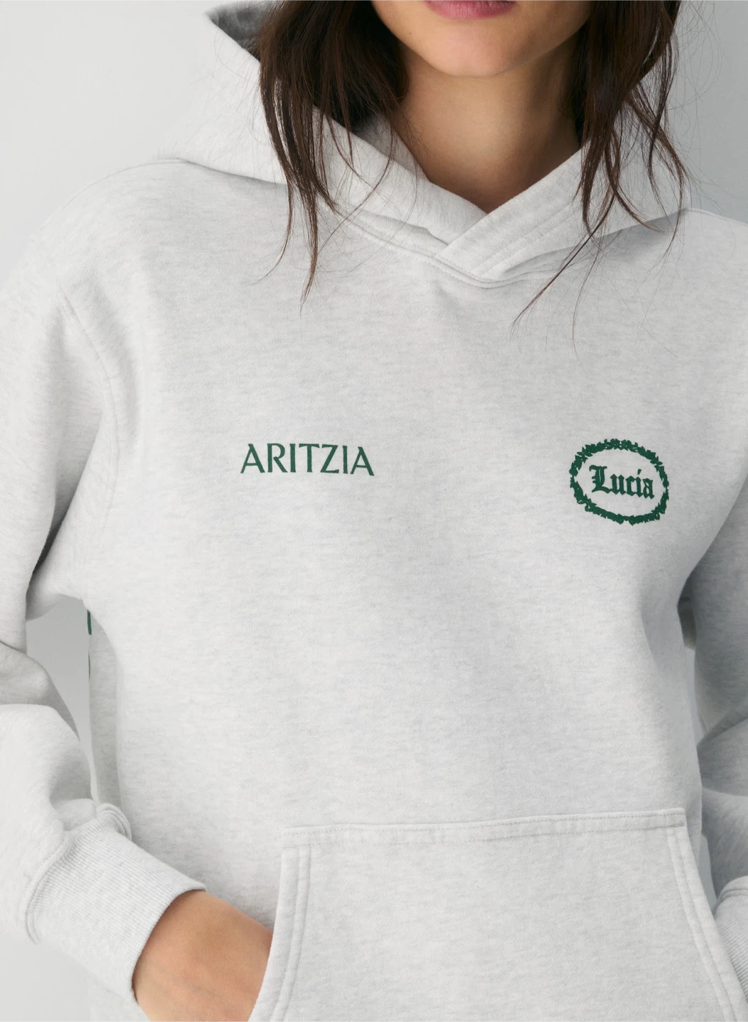 Aritzia Lucia Hoodie Grey