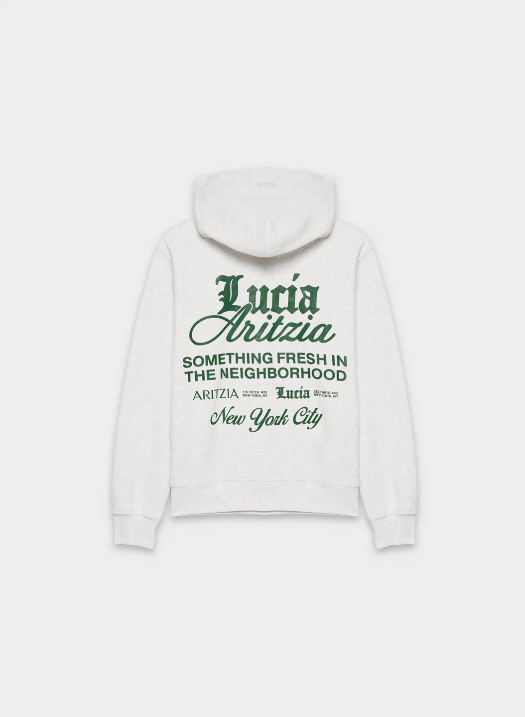 Aritzia Lucia Hoodie Grey - photo 2