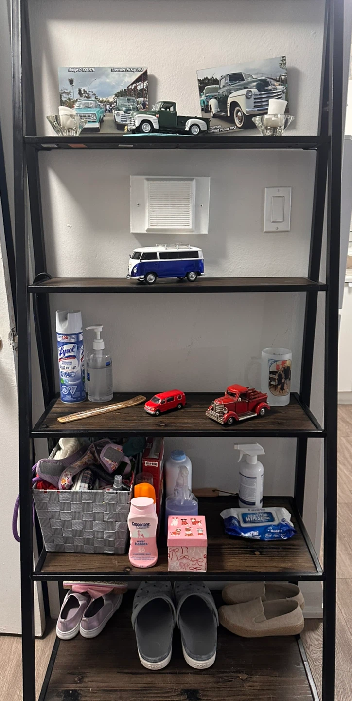 Ladder Bookshelf