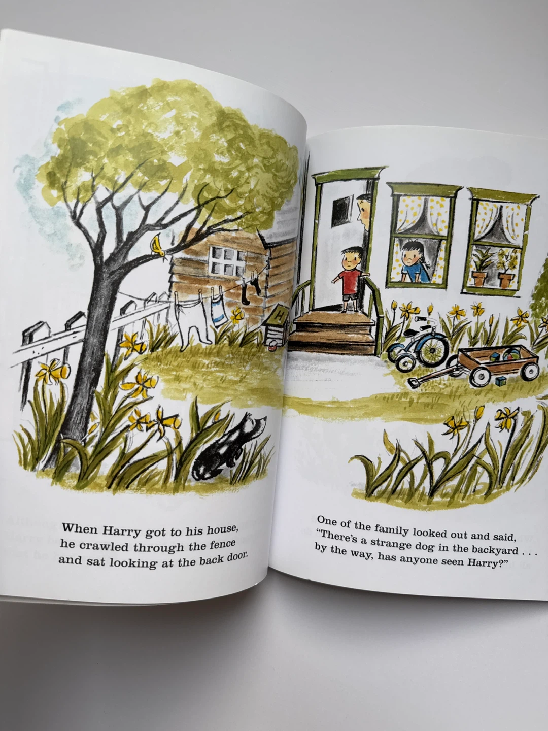‘Harry the Dirty Dog’ 50th Anniversary Edition Book - photo 4