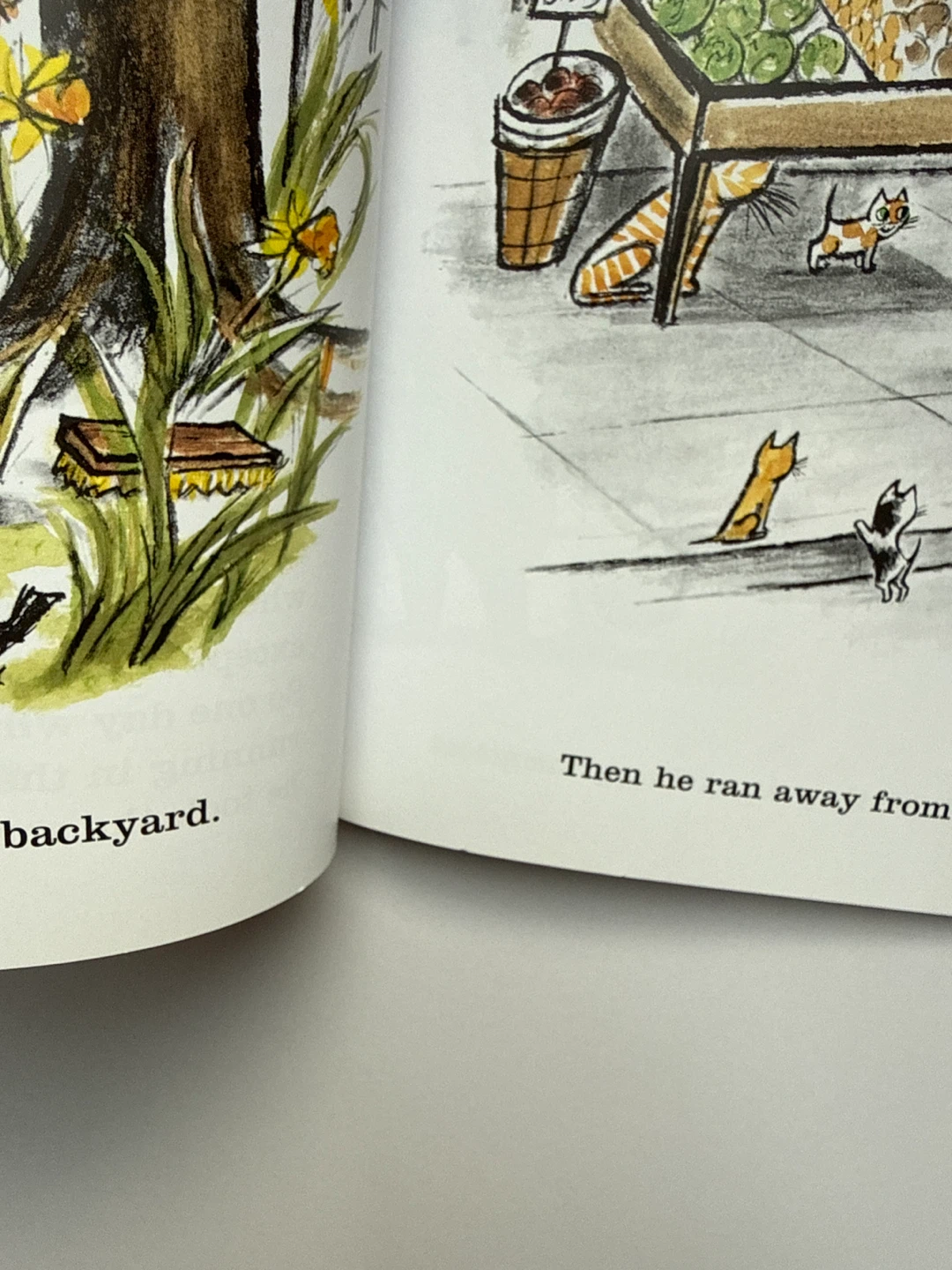 ‘Harry the Dirty Dog’ 50th Anniversary Edition Book - photo 5