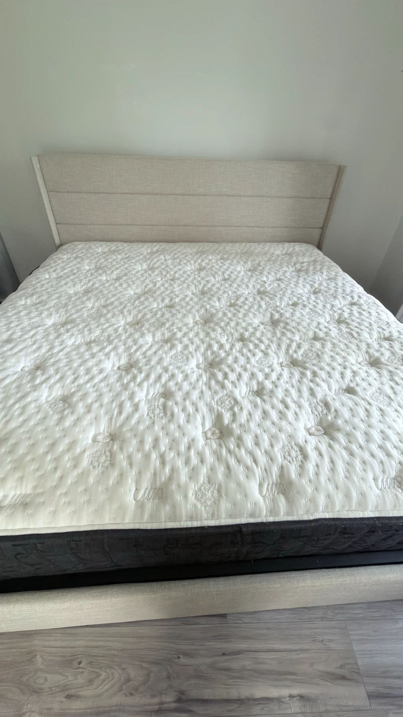 Hotel Collection Vitagenic King Mattress by Aireloom