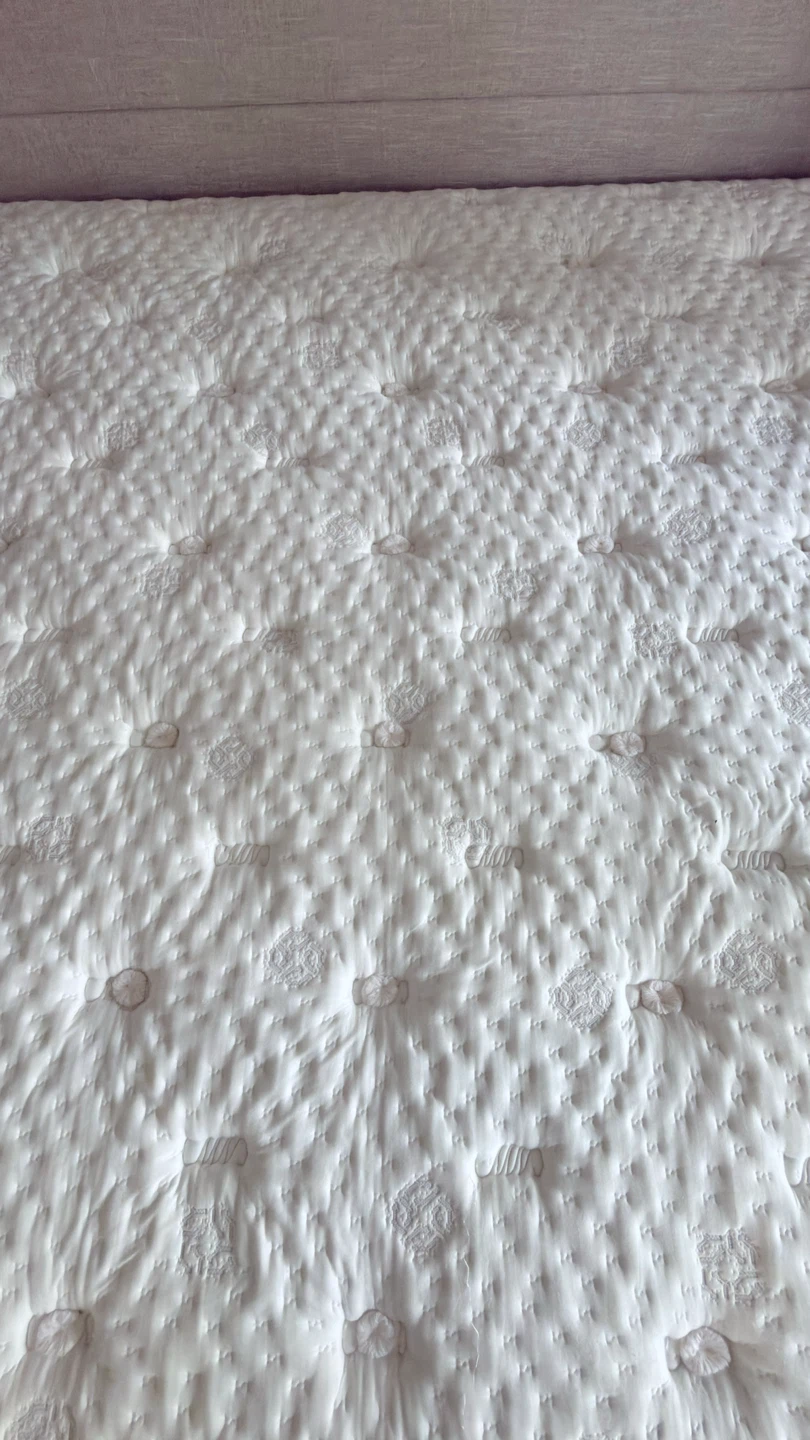 Hotel Collection Vitagenic King Mattress by Aireloom - photo 5